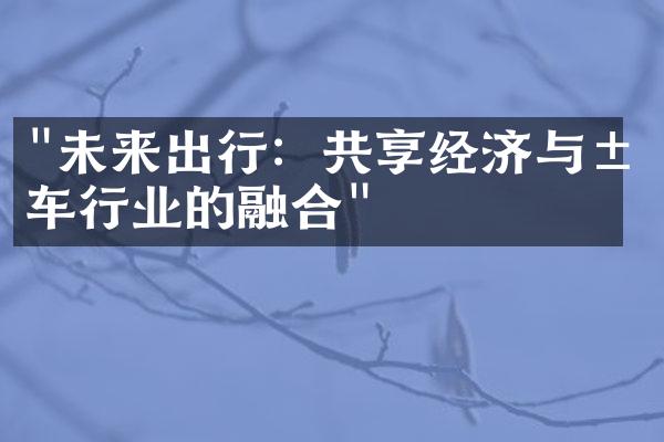 "未来出行：共享经济与汽车行业的融合"