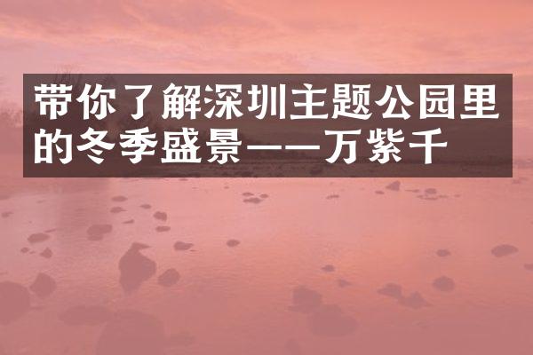 带你了解深圳主题公园里的冬季盛景——万紫千红