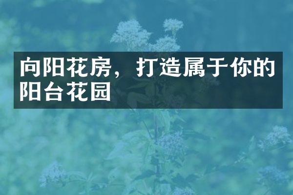 向阳花房，打造属于你的阳台花园