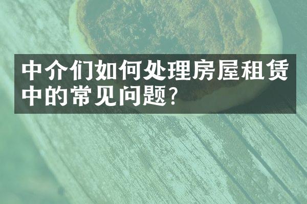 中介们如何处理房屋租赁中的常见问题？