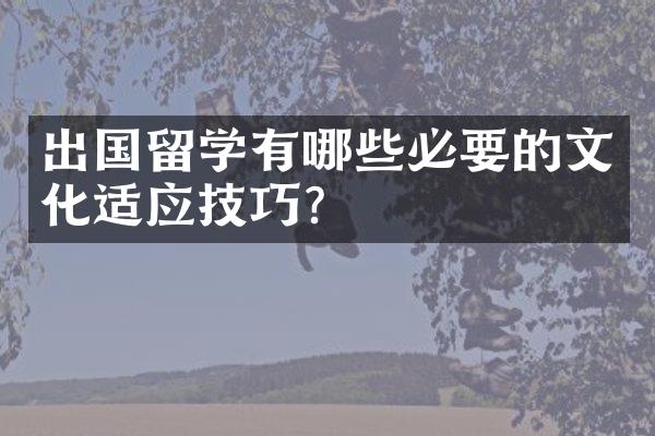 出国留学有哪些必要的文化适应技巧？