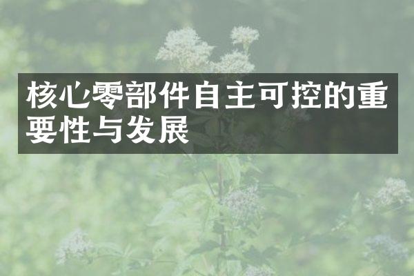 核心零部件自主可控的重要性与发展