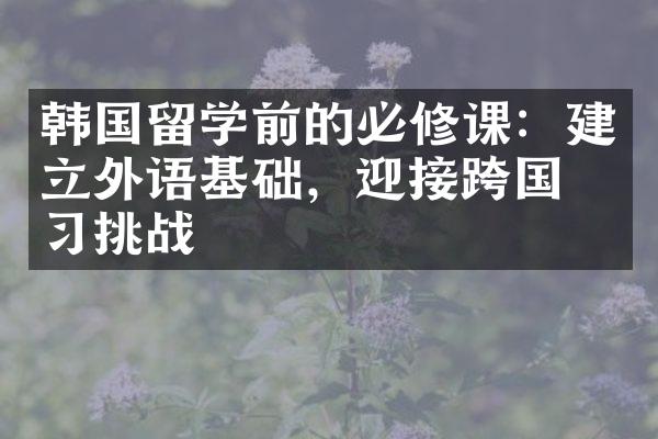 韩国留学前的必修课：建立外语基础，迎接跨国学习挑战