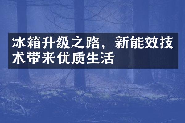 冰箱升级之路，新能效技术带来优质生活