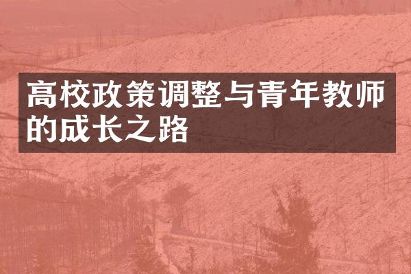 高校政策调整与青年教师的成长之路