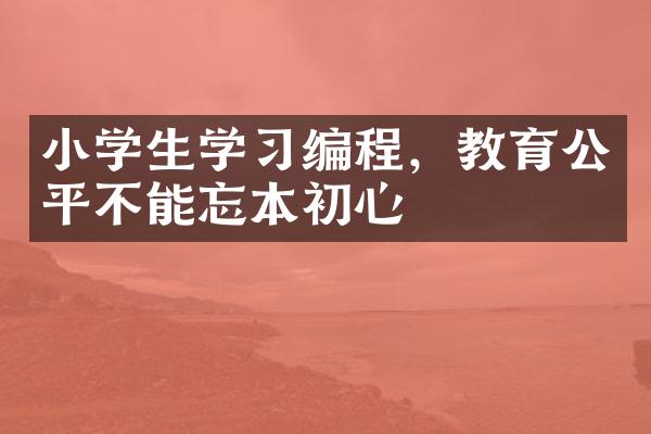 小学生学习编程，教育公平不能忘本初心