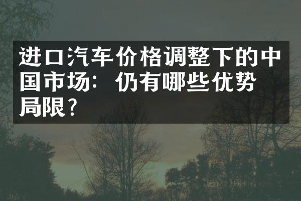 进口汽车价格调整下的中国市场：仍有哪些优势和局限？