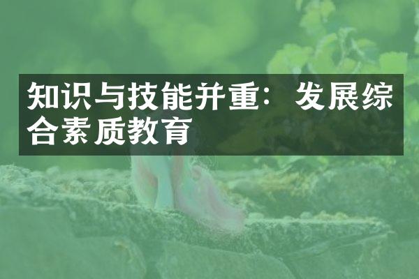 知识与技能并重：发展综合素质教育