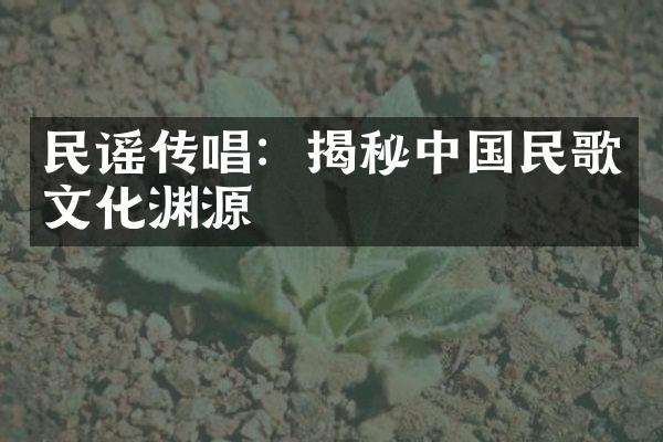 民谣传唱：揭秘中国民歌文化渊源