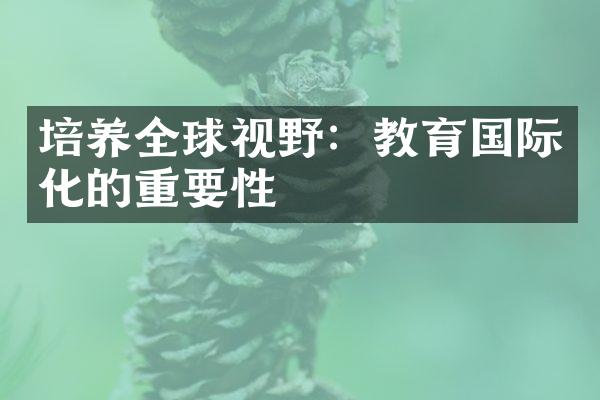 培养全球视野：教育国际化的重要性