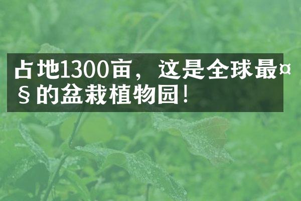 占地1300亩，这是全球最大的盆栽植物园！