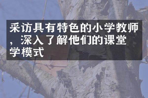 采访具有特色的小学教师，深入了解他们的课堂教学模式