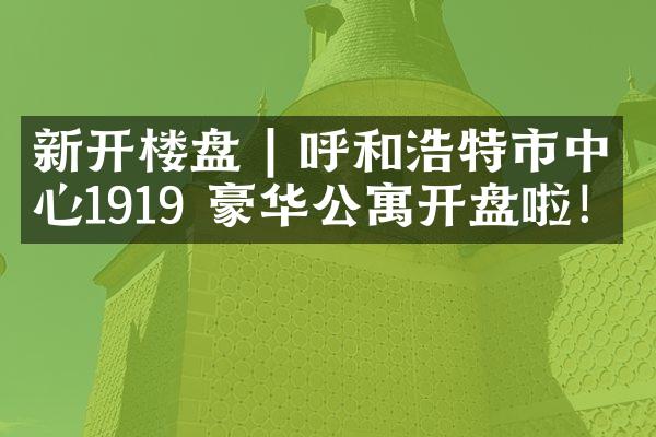 新开楼盘 | 呼和浩特市中心1919 豪华公寓开盘啦！