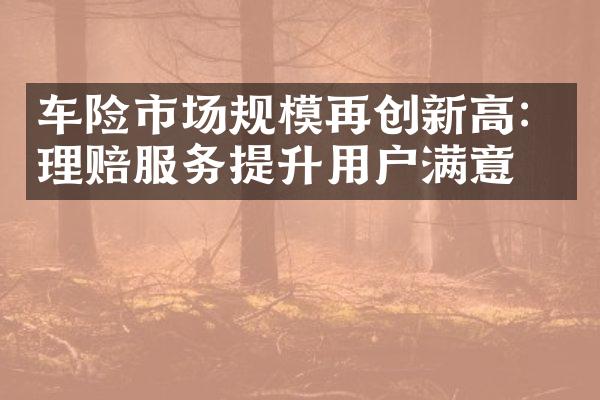 车险市场规模再创新高：理赔服务提升用户满意度