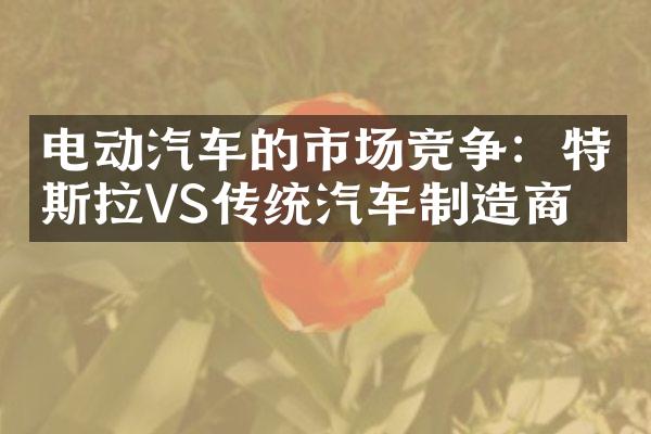 电动汽车的市场竞争：特斯拉VS传统汽车制造商