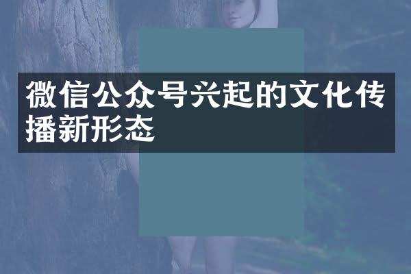 微信公众号兴起的文化传播新形态