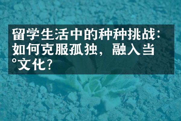 留学生活中的种种挑战：如何克服孤独，融入当地文化？