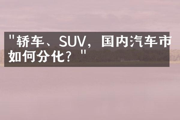 "轿车、SUV，国内汽车市场如何分化？"