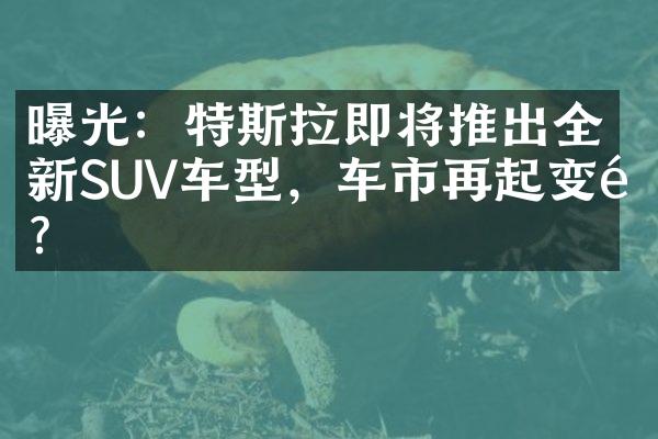 曝光：特斯拉即将推出全新SUV车型，车市再起变革？