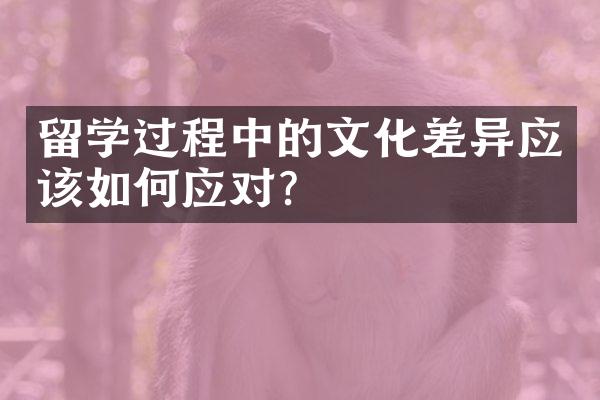 留学过程中的文化差异应该如何应对？