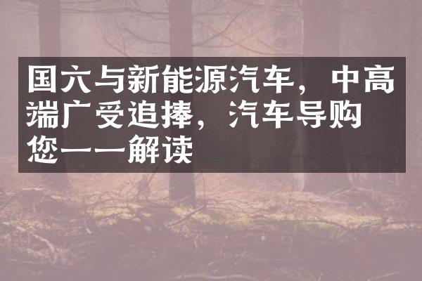 国六与新能源汽车，中高端广受追捧，汽车导购为您一一解读