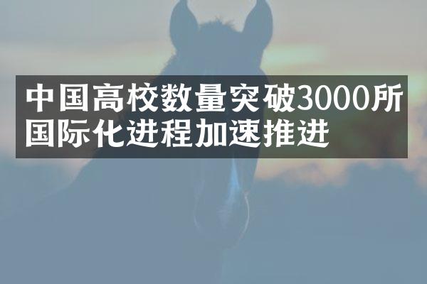 高校数量突破3000所，国际化进程加速推进