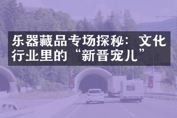 乐器藏品专场探秘：文化行业里的“新晋宠儿”