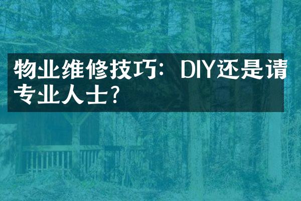 物业维修技巧：DIY还是请专业人士？