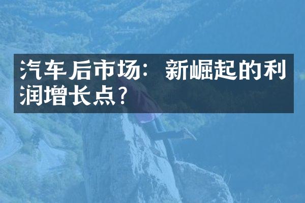 汽车后市场：新崛起的利润增长点？