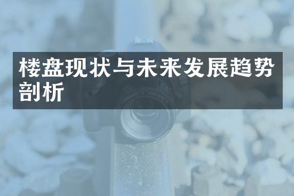 楼盘现状与未来发展趋势剖析