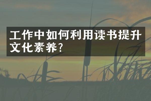 工作中如何利用读书提升文化素养？