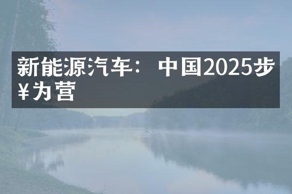 新能源汽车：中国2025步步为营