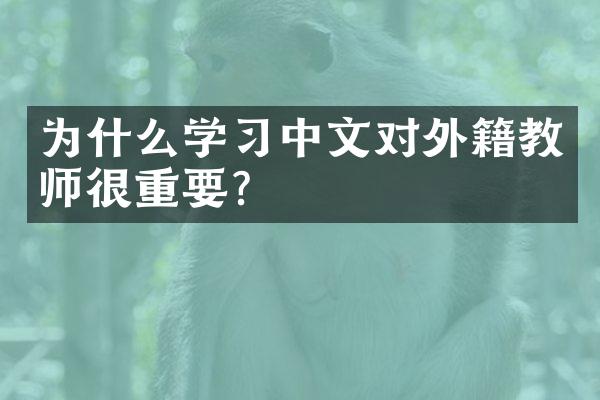 为什么学习中文对外籍教师很重要？