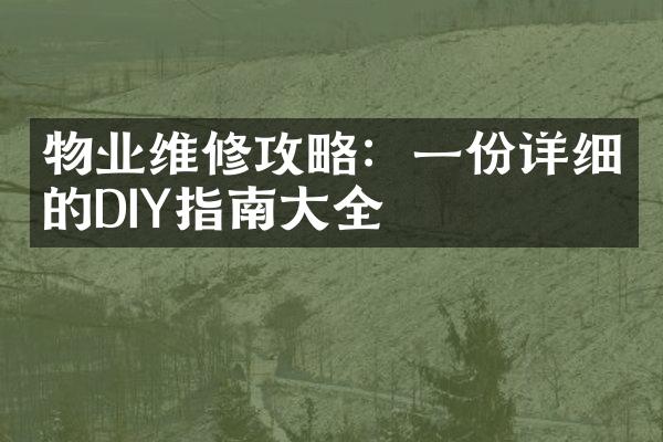 物业维修攻略：一份详细的DIY指南大全