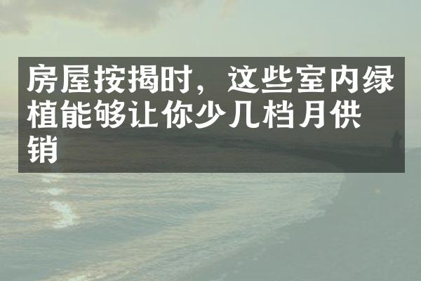 房屋按揭时，这些室内绿植能够让你少几档月供开销