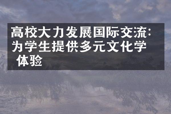 高校大力发展国际交流：为学生提供多元文化学习体验