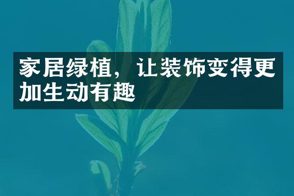 家居绿植，让装饰变得更加生动有趣