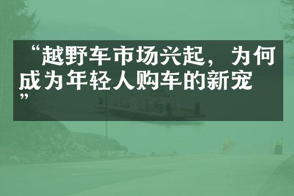 “越野车市场兴起，为何成为年轻人购车的新宠？”