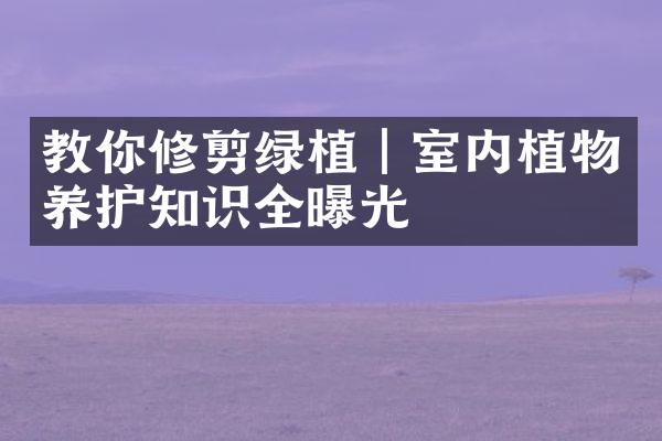 教你修剪绿植｜室内植物养护知识全曝光