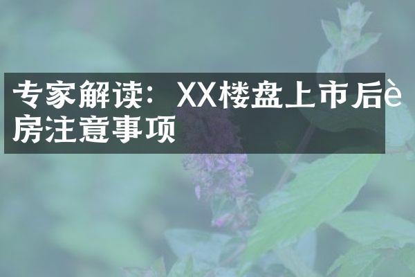 专家解读：XX楼盘上市后购房注意事项