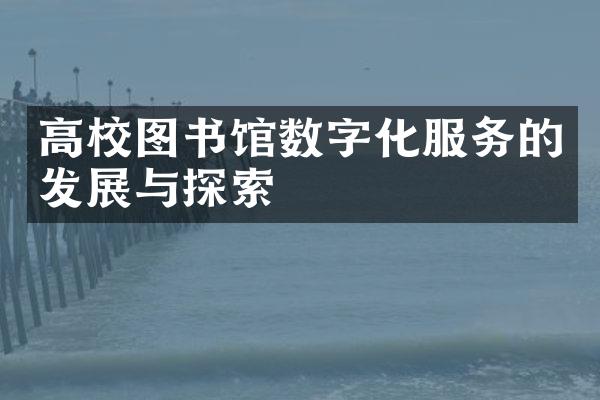 高校图书馆数字化服务的发展与探索