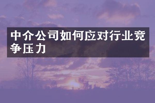 中介公司如何应对行业竞争压力