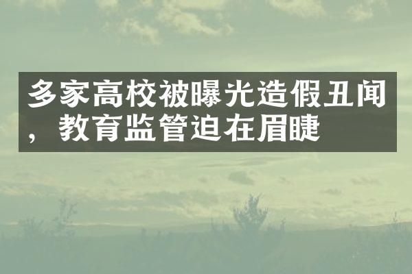 多家高校被曝光造假丑闻，教育监管迫在眉睫