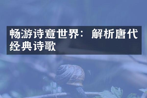 畅游诗意世界：解析唐代经典诗歌