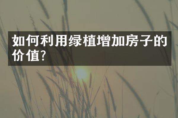 如何利用绿植增加房子的价值？