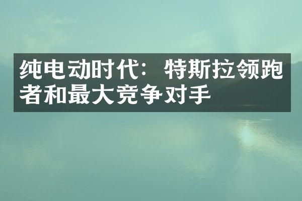 纯电动时代：特斯拉领跑者和最大竞争对手