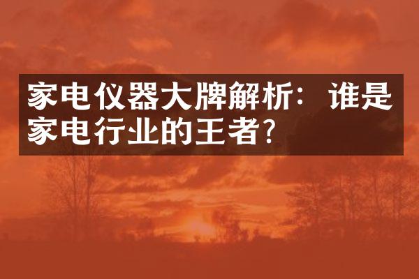 家电仪器大牌解析：谁是家电行业的王者？