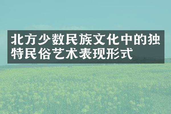 北方少数民族文化中的独特民俗艺术表现形式