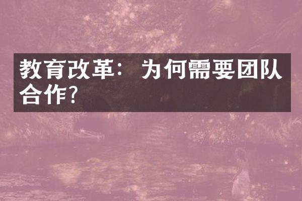 教育改革：为何需要团队合作？