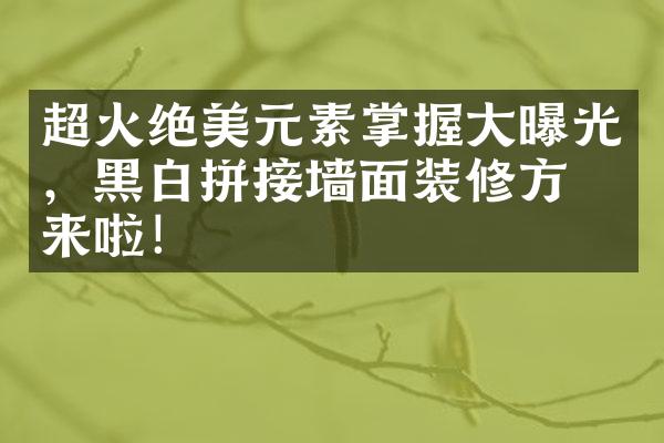 超火绝美元素掌握大曝光，黑白拼接墙面装修方案来啦！